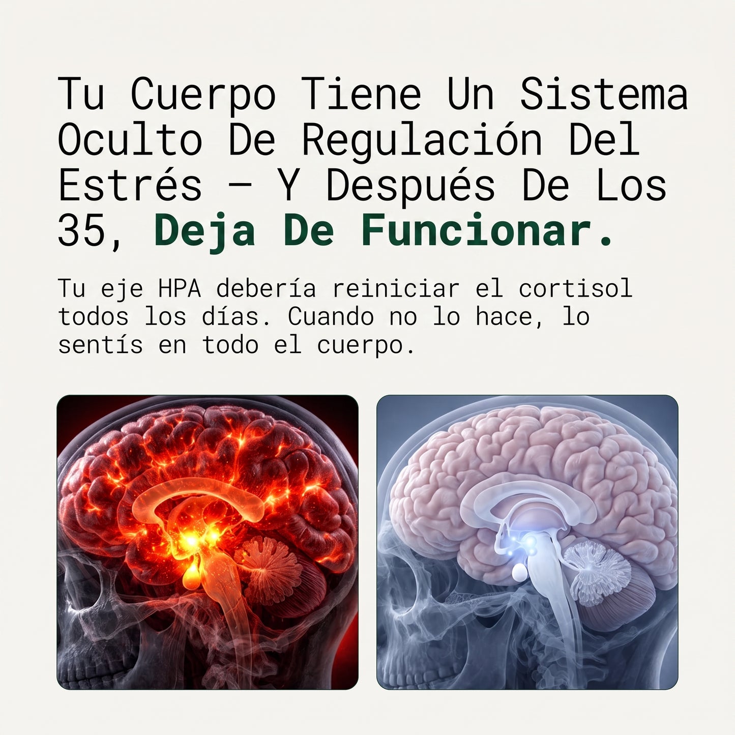 CORTISOFF